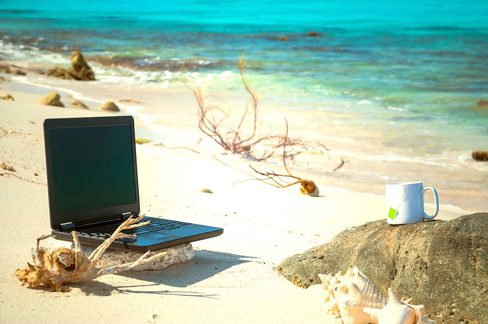 6 Reasons Why Working Remotely is Better Than Ever!